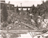 Original Plant historic photo