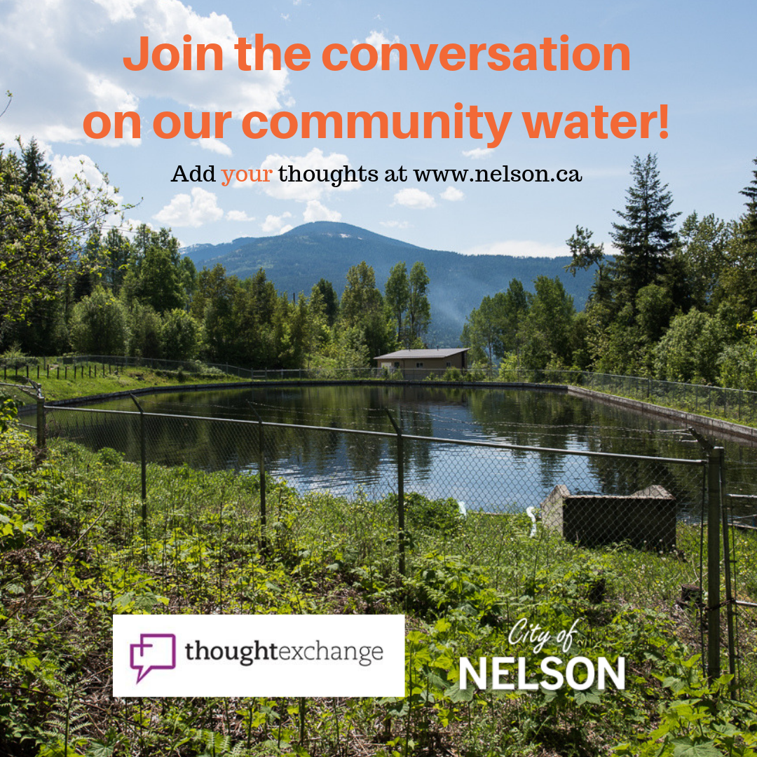 Thoughtexchange water conservation 2019