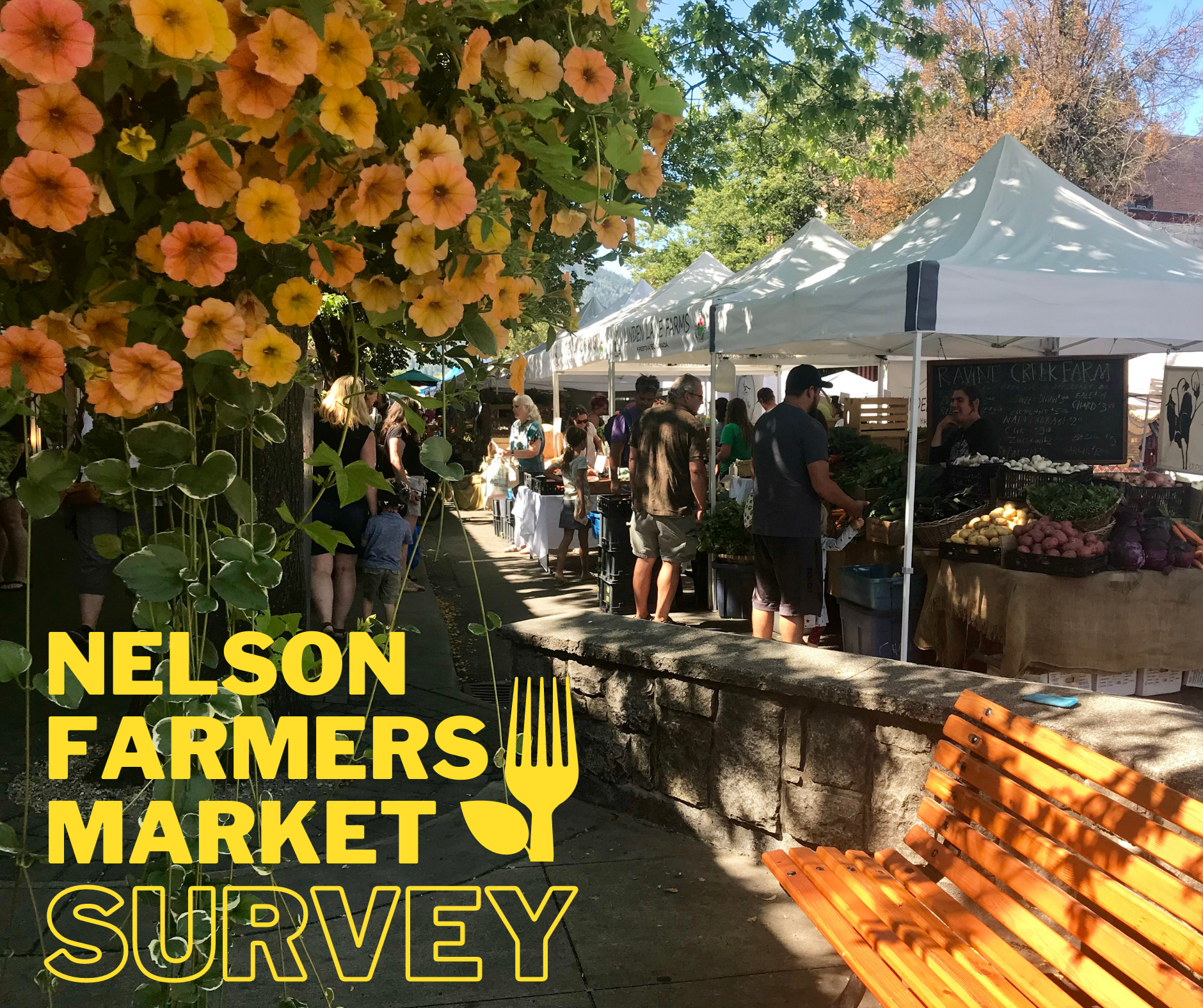 survey infographic 2020