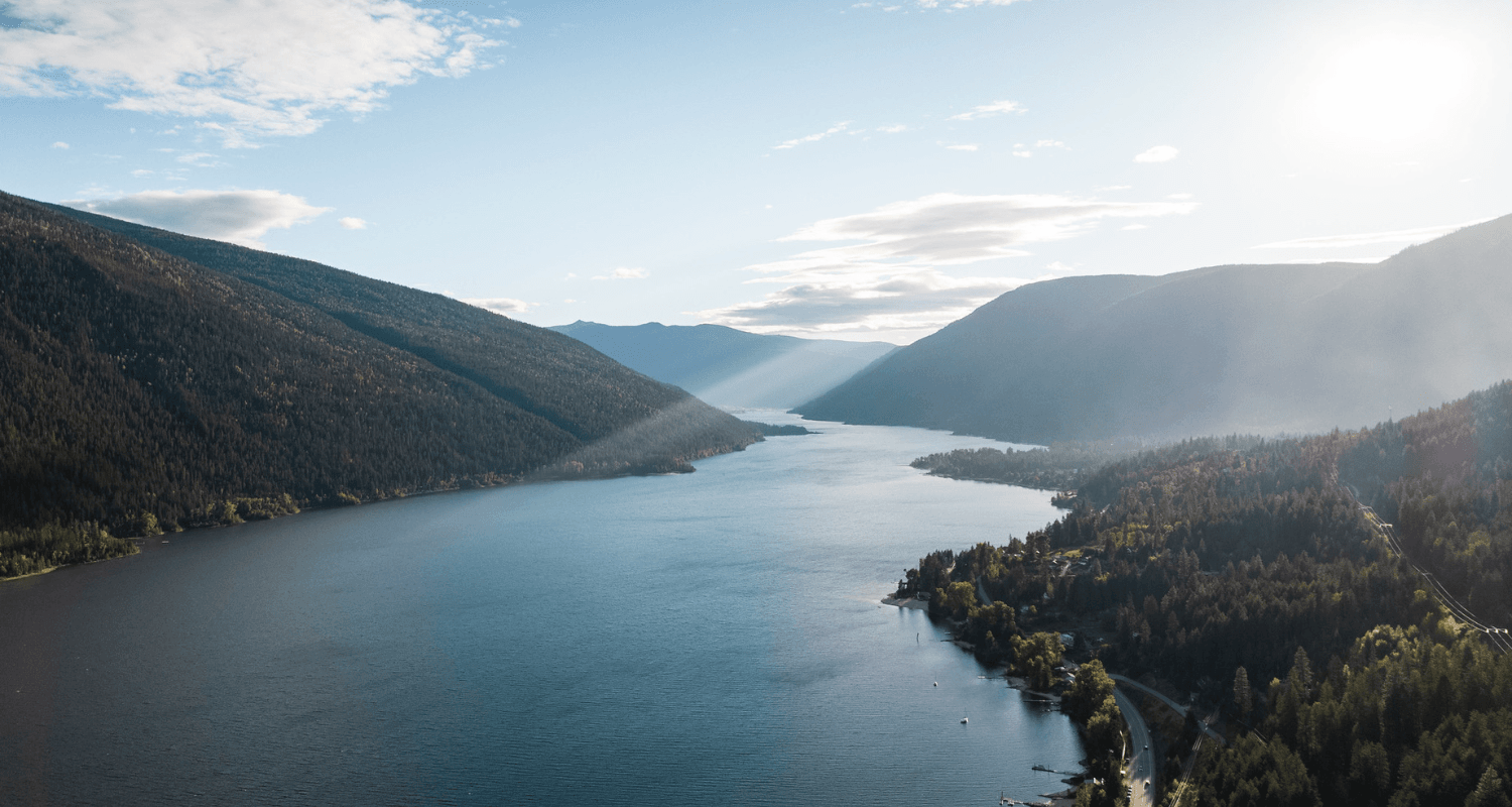 Vegetation Management