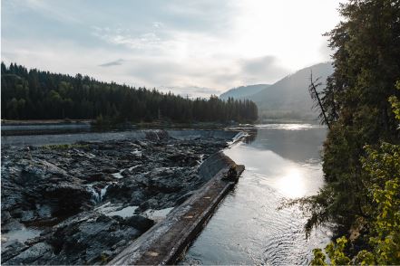 Nelson Hydro prides itself in sourcing and implementing green technologies and projects.