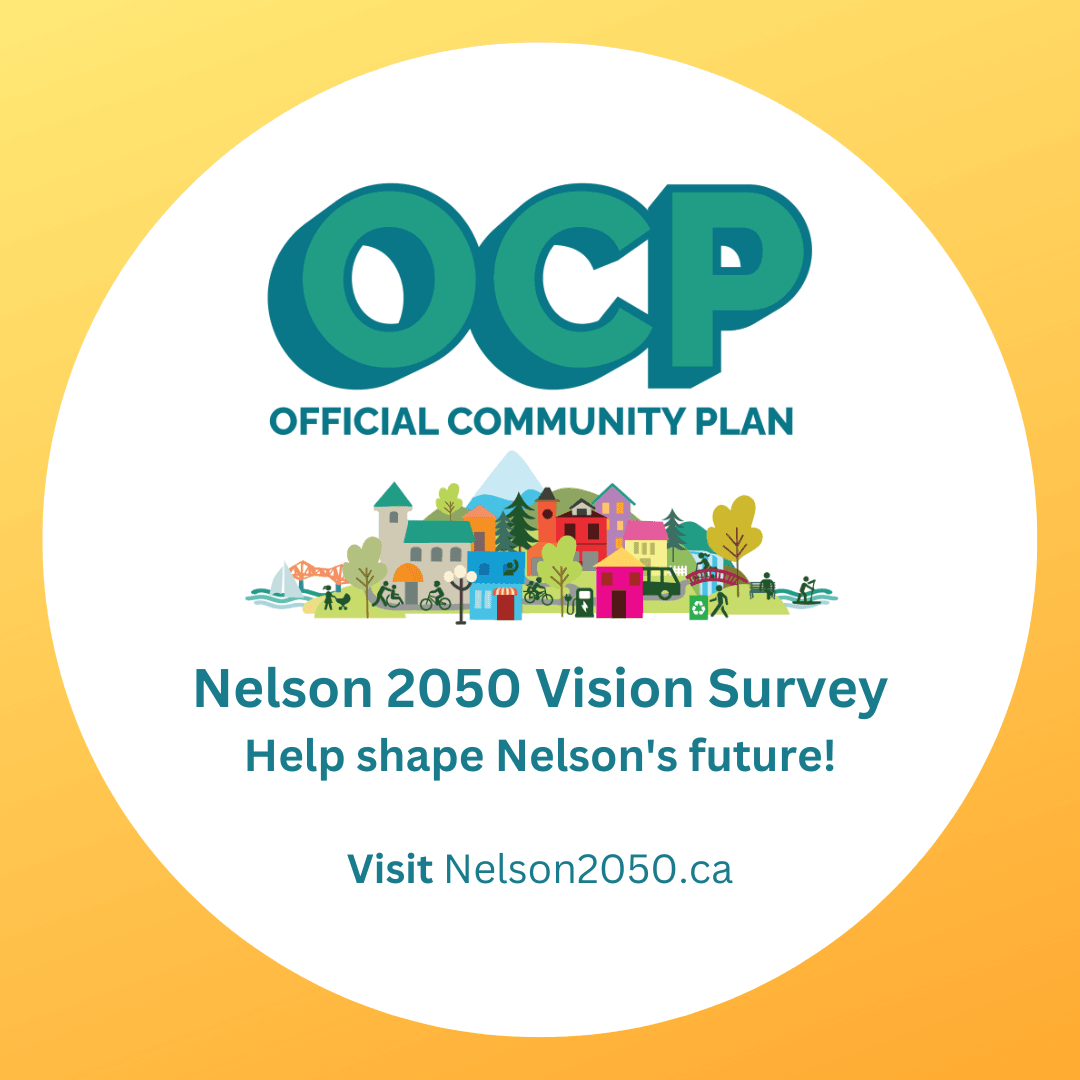 Nelson 2050 Vision Survey - Instagram
