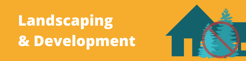 Landscaping_Development 