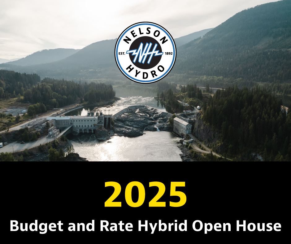 Nelson Hydro Budget Workshop