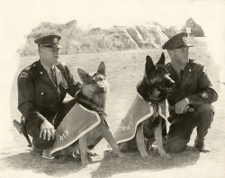 Policemen with dogs-historical