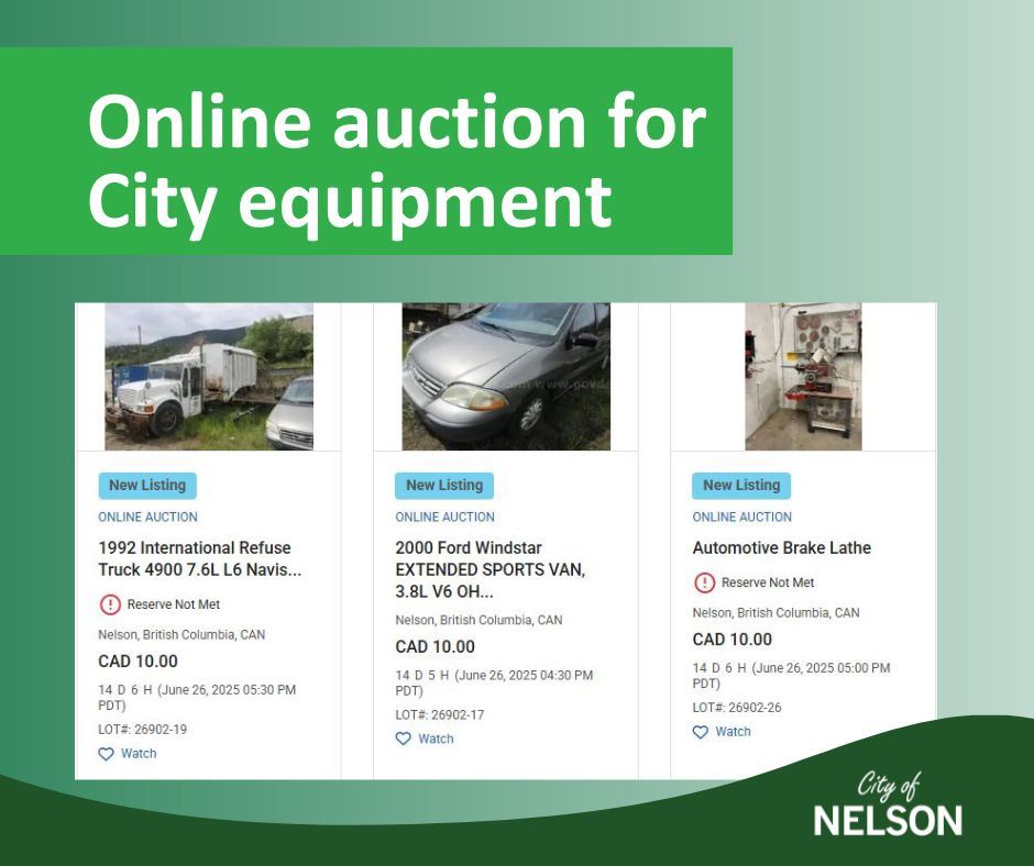 Online auction