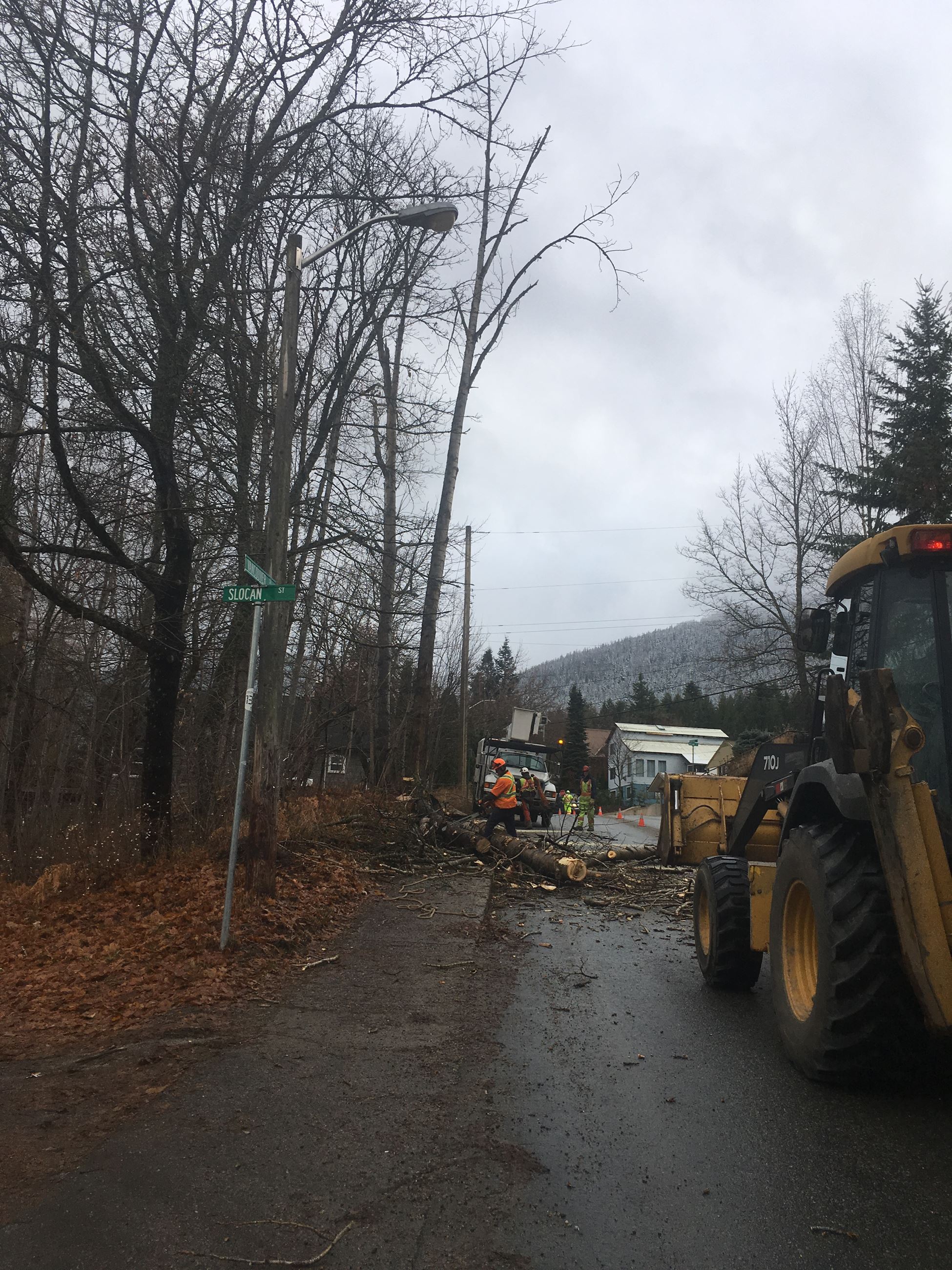 TressVancouverStreet