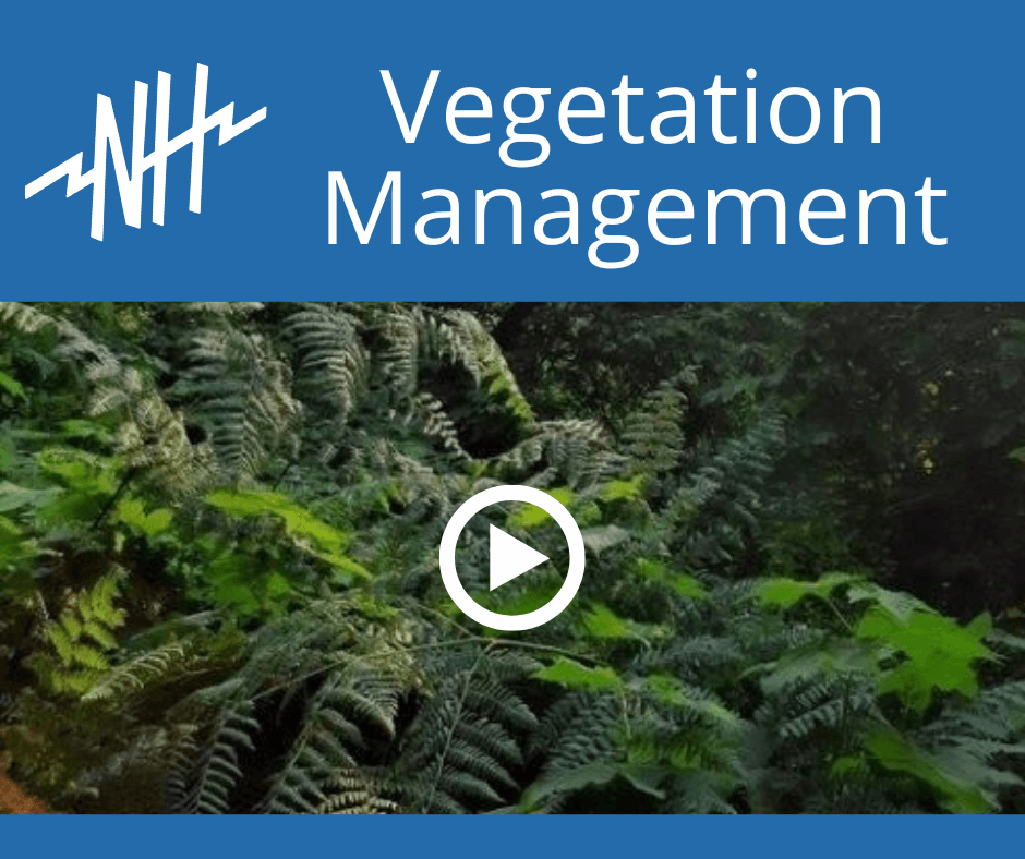 Vegetation Managment Opens in new window