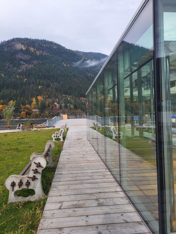 2023-10-20 - Ladybird Enclosure