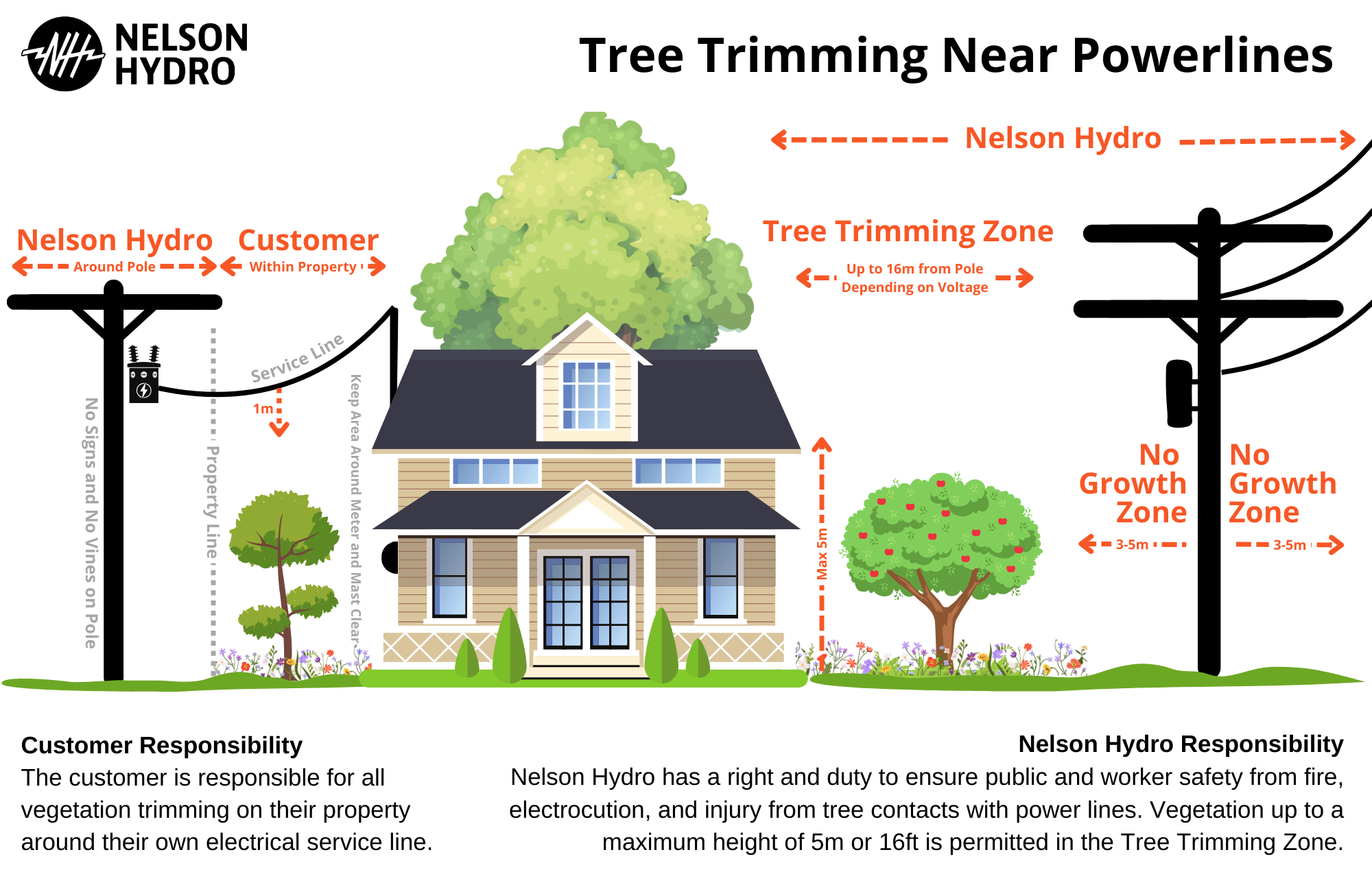 Tree Trimming Guidelines